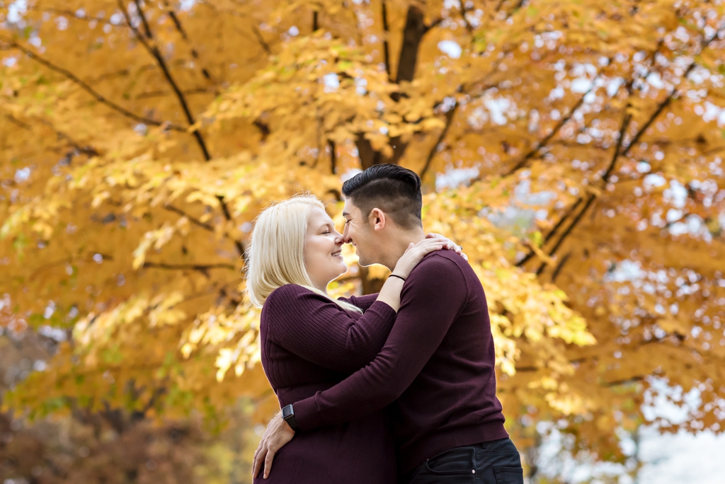 An engaged couple share a kiss in rockford park for their engagement session.